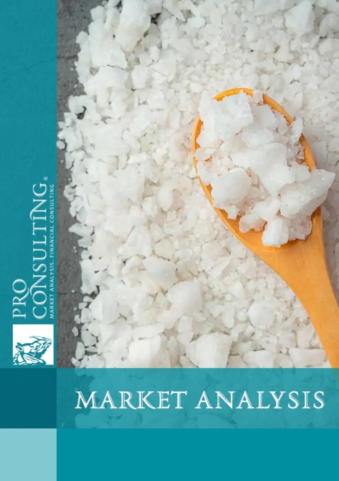 Analytical note on the technical salt market in Ukraine. 2023 year